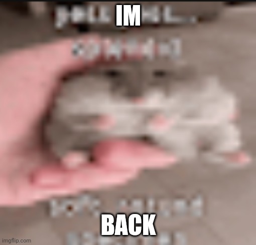 It's been awhile | IM; BACK | image tagged in tehe | made w/ Imgflip meme maker