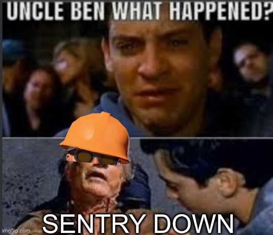 Uncle ben what happened | SENTRY DOWN | image tagged in uncle ben what happened | made w/ Imgflip meme maker