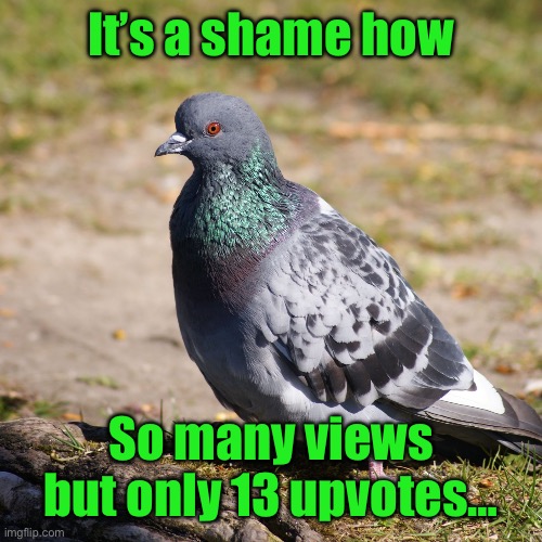 It would be a shame | It’s a shame how So many views but only 13 upvotes… | image tagged in it would be a shame | made w/ Imgflip meme maker