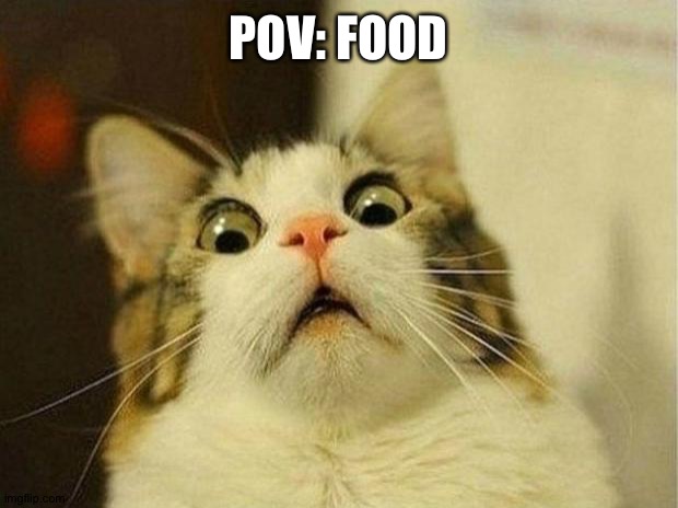 Scared Cat | POV: FOOD | image tagged in memes,scared cat | made w/ Imgflip meme maker