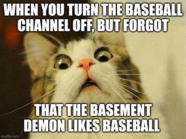 I forgot he likes baseball | WHEN YOU TURN THE BASEBALL CHANNEL OFF, BUT FORGOT; THAT THE BASEMENT DEMON LIKES BASEBALL | image tagged in memes,scared cat | made w/ Imgflip meme maker