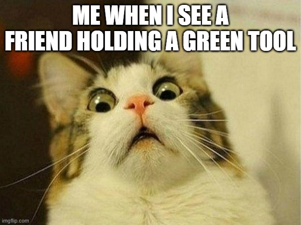 meme 163 | ME WHEN I SEE A FRIEND HOLDING A GREEN TOOL | image tagged in memes,scared cat | made w/ Imgflip meme maker