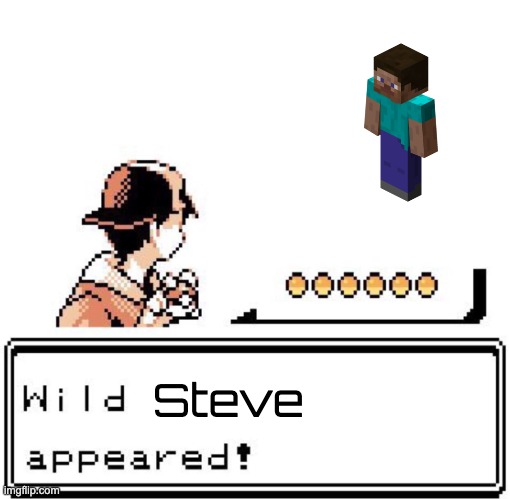 Blank Wild Pokemon Appears | Steve | image tagged in blank wild pokemon appears | made w/ Imgflip meme maker
