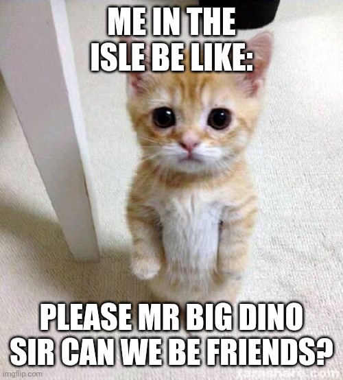 It's dumb but worth the risk | ME IN THE ISLE BE LIKE:; PLEASE MR BIG DINO SIR CAN WE BE FRIENDS? | image tagged in memes,cute cat | made w/ Imgflip meme maker