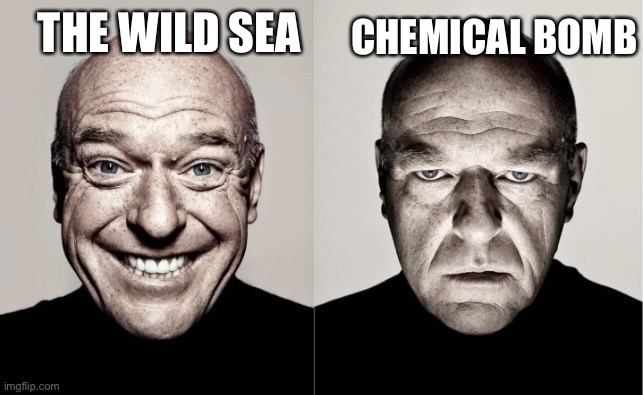 Hank Angry-Happy | CHEMICAL BOMB; THE WILD SEA | image tagged in hank angry-happy,Aquabats | made w/ Imgflip meme maker