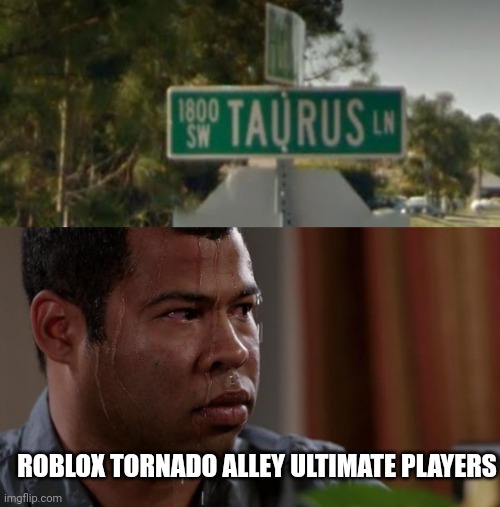 Only Tornado alley ultimate players get this meme | ROBLOX TORNADO ALLEY ULTIMATE PLAYERS | image tagged in sweating bullets | made w/ Imgflip meme maker