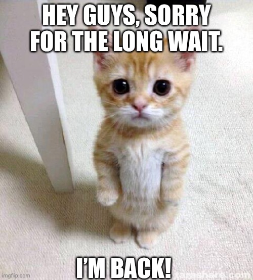 Cute Cat | HEY GUYS, SORRY FOR THE LONG WAIT. I’M BACK! | image tagged in memes,cute cat | made w/ Imgflip meme maker