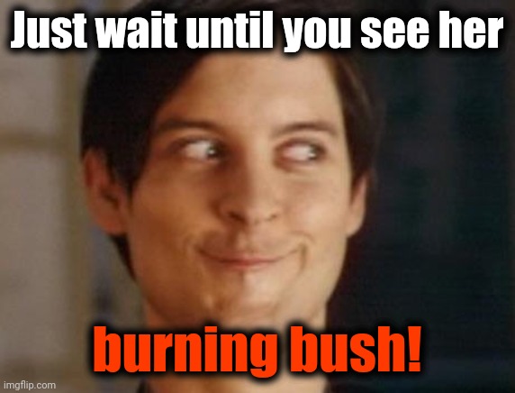 Spiderman Peter Parker Meme | Just wait until you see her burning bush! | image tagged in memes,spiderman peter parker | made w/ Imgflip meme maker