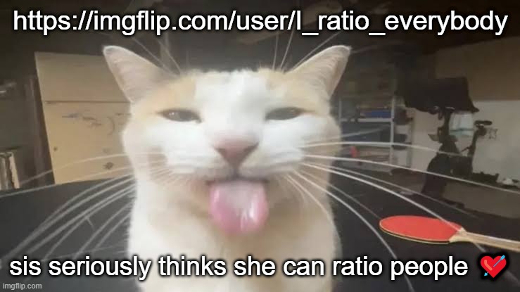 d | https://imgflip.com/user/I_ratio_everybody; sis seriously thinks she can ratio people 💘 | image tagged in milly the silly cat bleh cat | made w/ Imgflip meme maker