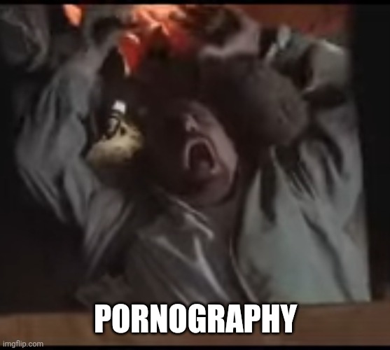 Walter white laughing | PORNOGRAPHY | image tagged in walter white laughing | made w/ Imgflip meme maker