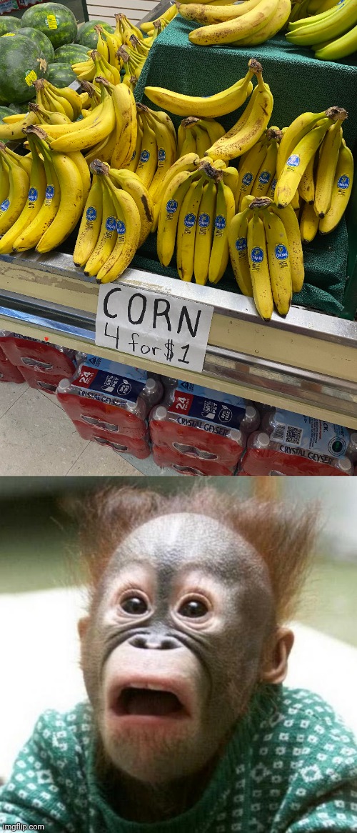 "Corn" | image tagged in shocked monkey,corn,bananas,banana,you had one job,memes | made w/ Imgflip meme maker