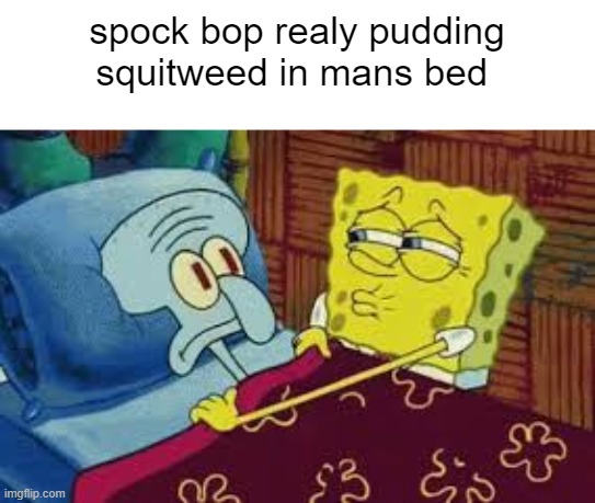 NOT THIS | spock bop realy pudding squitweed in mans bed | image tagged in spunch bop | made w/ Imgflip meme maker