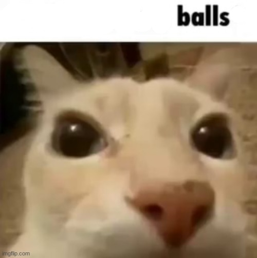 balls | image tagged in balls | made w/ Imgflip meme maker