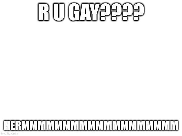 R U GAY???? HERMMMMMMMMMMMMMMMMMMM | made w/ Imgflip meme maker