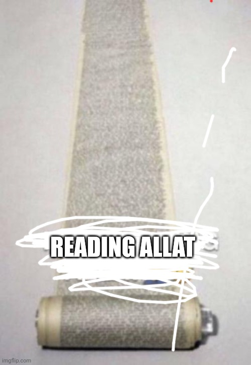 Not reading allat | READING ALLAT | image tagged in not reading allat | made w/ Imgflip meme maker