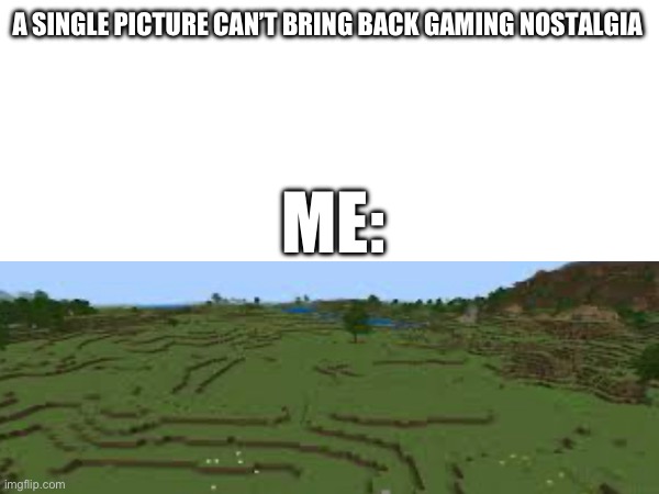 nostalgia | A SINGLE PICTURE CAN’T BRING BACK GAMING NOSTALGIA; ME: | image tagged in memes,minecraft,nostalgia | made w/ Imgflip meme maker