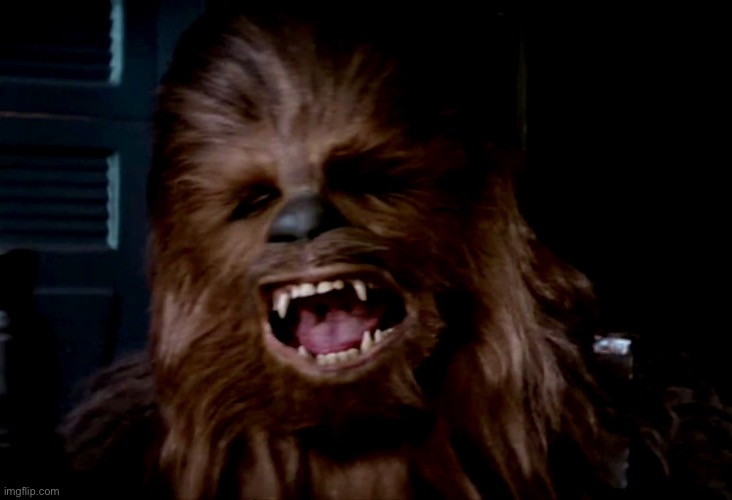 chewbacca | image tagged in chewbacca | made w/ Imgflip meme maker