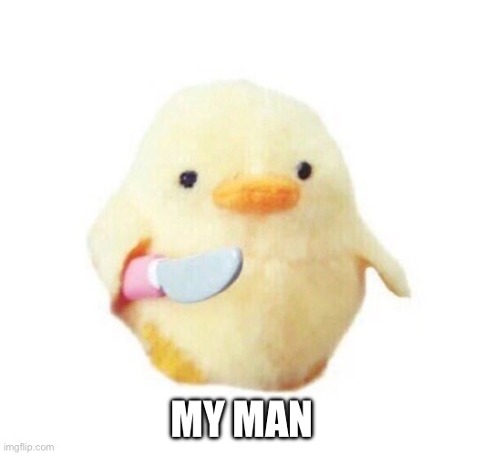 Duck with knife | MY MAN | image tagged in duck with knife | made w/ Imgflip meme maker