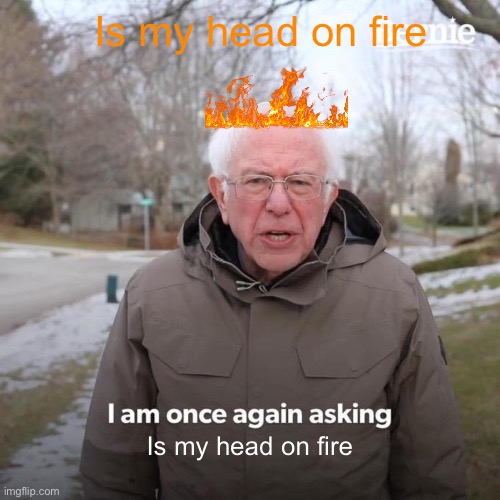Bernie I Am Once Again Asking For Your Support | Is my head on fire; Is my head on fire | image tagged in memes,bernie i am once again asking for your support | made w/ Imgflip meme maker