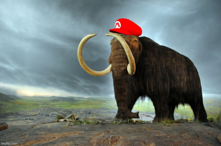 Mammoth Mario.mp3 | image tagged in wooly mammoth | made w/ Imgflip meme maker