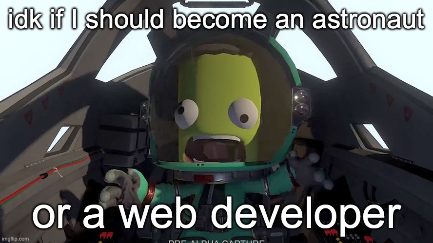 tbh web developer sounds more depressing but it's easier. | idk if I should become an astronaut; or a web developer | image tagged in kerbal panic | made w/ Imgflip meme maker