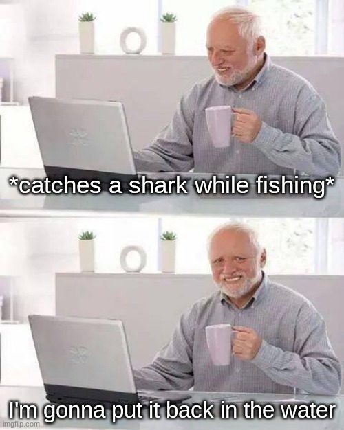 Fishing Week (pt. 12) | *catches a shark while fishing*; I'm gonna put it back in the water | image tagged in memes,hide the pain harold | made w/ Imgflip meme maker