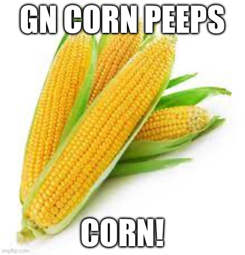 GN CORN PEEPS; CORN! | made w/ Imgflip meme maker