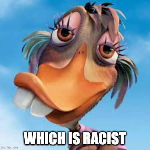 Ugly Duckling | WHICH IS RACIST | image tagged in ugly duckling | made w/ Imgflip meme maker