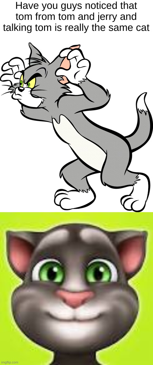had you guys really noticed this | Have you guys noticed that tom from tom and jerry and talking tom is really the same cat | image tagged in memes,shocker | made w/ Imgflip meme maker