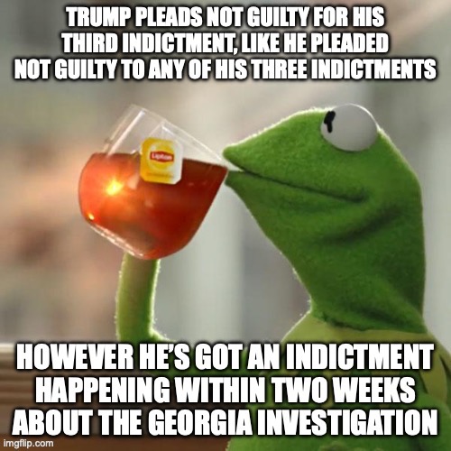 I bet that Trump will eventually plead guilty to all his indictments as he is running out of lawyers | image tagged in but thats none of my business,trump,indictment,2020,georgia,repost | made w/ Imgflip meme maker