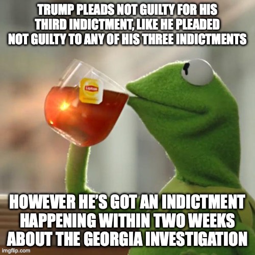 I bet that Trump will eventually plead guilty to all his indictments as he is running out of lawyers | image tagged in but thats none of my business,trump,indictment,2020,georgia,guilty | made w/ Imgflip meme maker