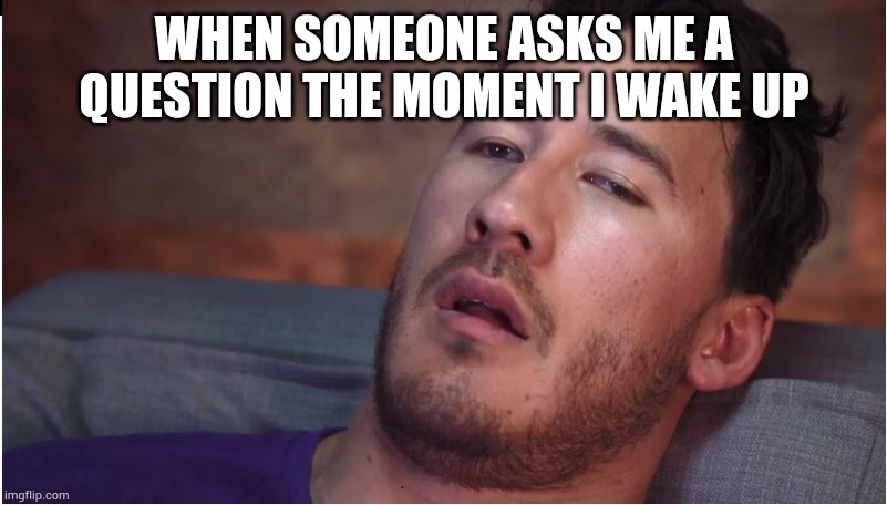 markiplier | WHEN SOMEONE ASKS ME A QUESTION THE MOMENT I WAKE UP | image tagged in markiplier | made w/ Imgflip meme maker