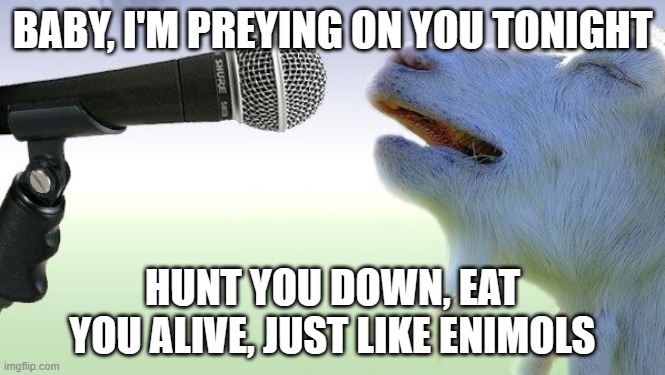 Mondegreens are hilarious things! | BABY, I'M PREYING ON YOU TONIGHT; HUNT YOU DOWN, EAT YOU ALIVE, JUST LIKE ENIMOLS | image tagged in goat singing,misheard lyrics,misheard,wrong lyrics | made w/ Imgflip meme maker