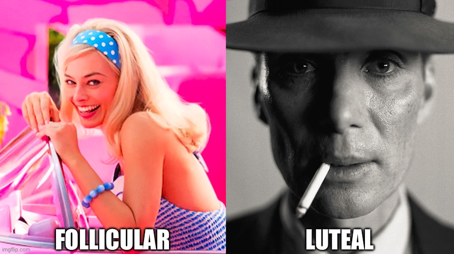 Barbie vs Oppenheimer | FOLLICULAR; LUTEAL | image tagged in barbie vs oppenheimer | made w/ Imgflip meme maker