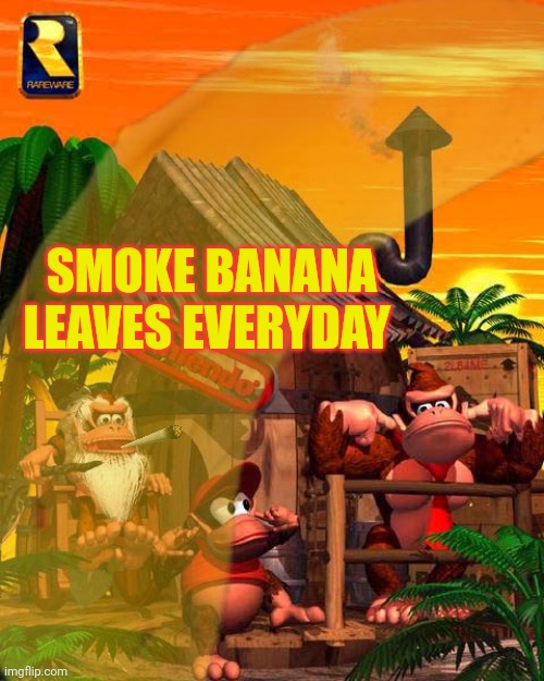 Cranky Kong public service announcement | SMOKE BANANA LEAVES EVERYDAY | image tagged in cranky,kong,public service announcement,no this is not ok | made w/ Imgflip meme maker
