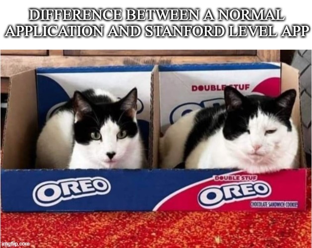 Gotta a write a good college essay this time! | DIFFERENCE BETWEEN A NORMAL APPLICATION AND STANFORD LEVEL APP | image tagged in the oreo cats | made w/ Imgflip meme maker