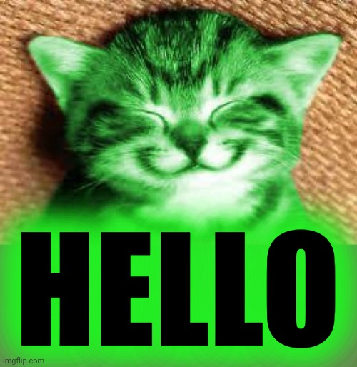 happy RayCat | HELLO | image tagged in happy raycat | made w/ Imgflip meme maker