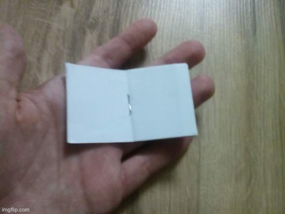 A Tiny Blank Book | image tagged in a tiny blank book | made w/ Imgflip meme maker