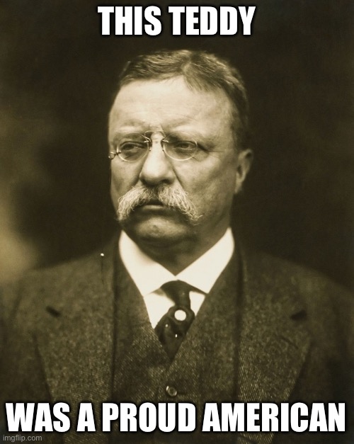 teddy roosevelt | THIS TEDDY; WAS A PROUD AMERICAN | image tagged in teddy roosevelt | made w/ Imgflip meme maker