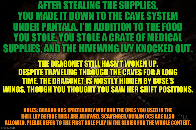 Finally have time for a part 2 | AFTER STEALING THE SUPPLIES, YOU MADE IT DOWN TO THE CAVE SYSTEM UNDER PANTALA. I’M ADDITION TO THE FOOD YOU STOLE, YOU STOLE A CRATE OF MEDICAL SUPPLIES, AND THE HIVEWING IVY KNOCKED OUT. THE DRAGONET STILL HASN’T WOKEN UP, DESPITE TRAVELING THROUGH THE CAVES FOR A LONG TIME. THE DRAGONET IS MOSTLY HIDDEN BY ROSE’S WINGS, THOUGH YOU THOUGHT YOU SAW HER SHIFT POSITIONS. RULES: DRAGON OCS (PREFERABLY WOF AND THE ONES YOU USED IN THE ROLE LAY BEFORE THIS) ARE ALLOWED. SCAVENGER/HUMAN OCS ARE ALSO ALLOWED. PLEASE REFER TO THE FIRST ROLE PLAY IN THE SERIES FOR THE WHOLE CONTEXT. | image tagged in cavern | made w/ Imgflip meme maker