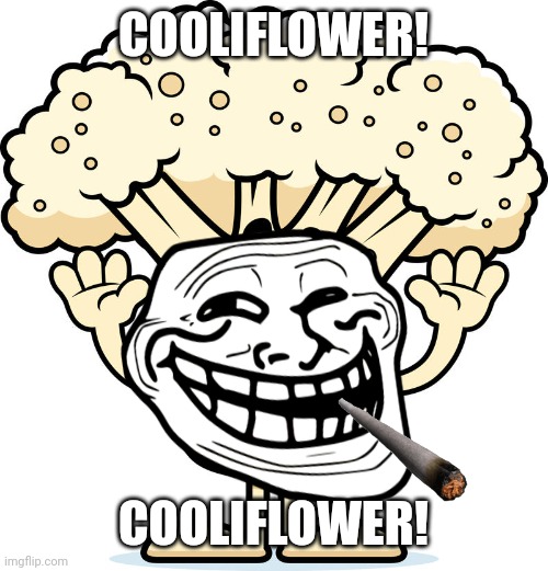 Cauliflower | COOLIFLOWER! COOLIFLOWER! | image tagged in memes,cool,troll | made w/ Imgflip meme maker