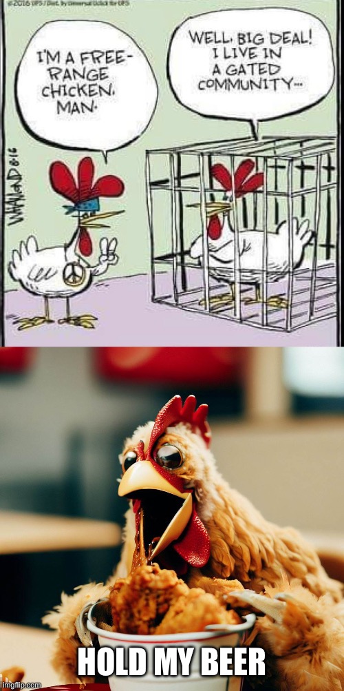 Chickens bragging | HOLD MY BEER | image tagged in chicken at kfc,kfc,chickens,home | made w/ Imgflip meme maker