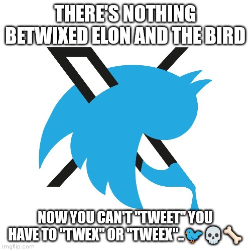 Elon X | THERE'S NOTHING BETWIXED ELON AND THE BIRD; NOW YOU CAN'T "TWEET" YOU HAVE TO "TWEX" OR "TWEEX"..🐦💀🦴 | image tagged in elon musk,bird | made w/ Imgflip meme maker