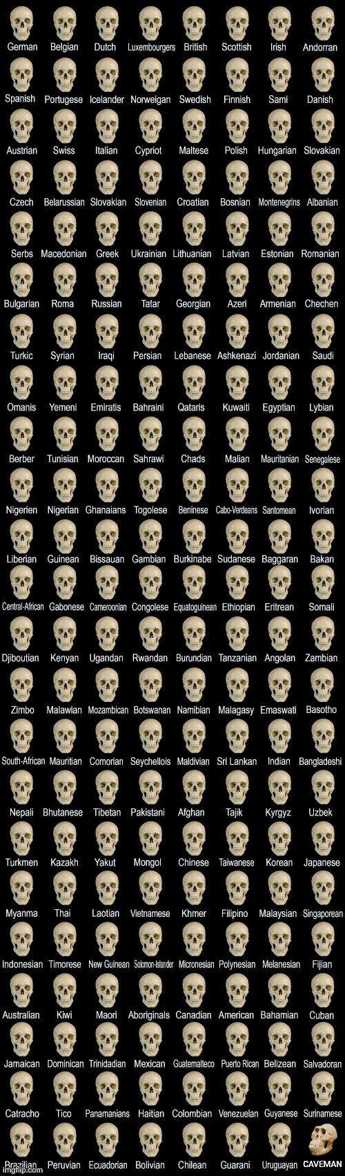 Deformed skull | CAVEMAN | image tagged in deformed skull | made w/ Imgflip meme maker