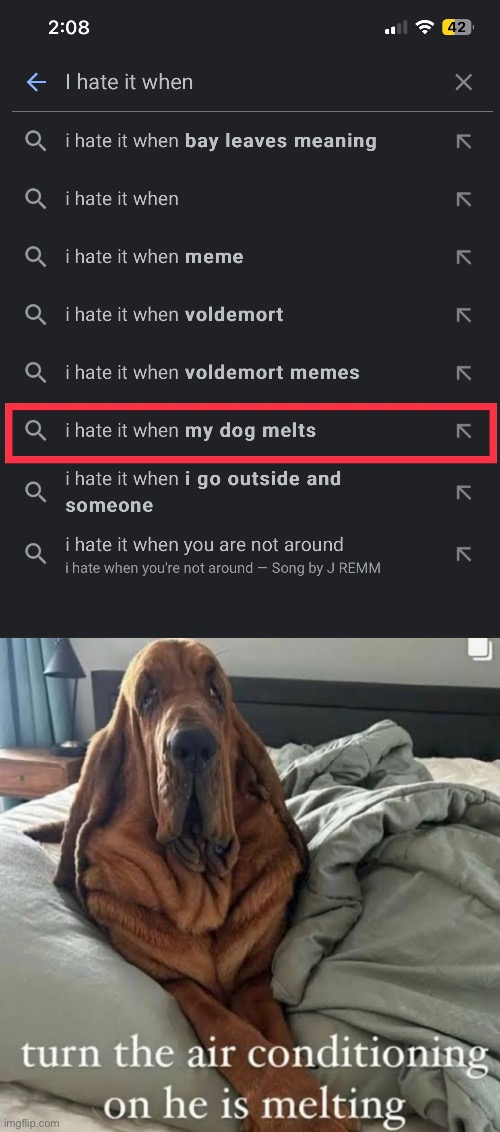 I hate it when… | image tagged in dog memes | made w/ Imgflip meme maker
