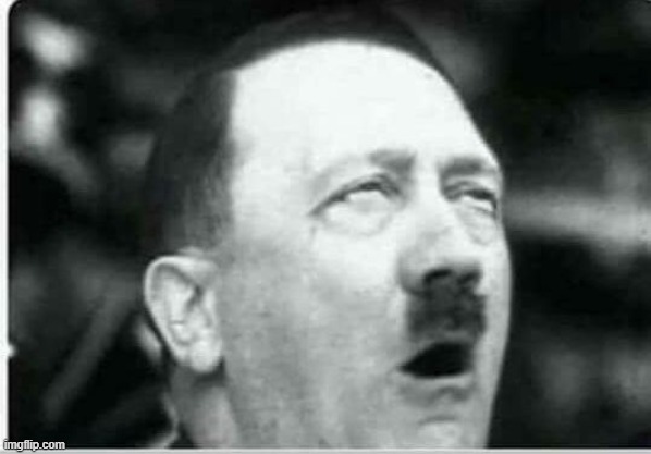 Hitler eyeroll | image tagged in hitler eyeroll | made w/ Imgflip meme maker