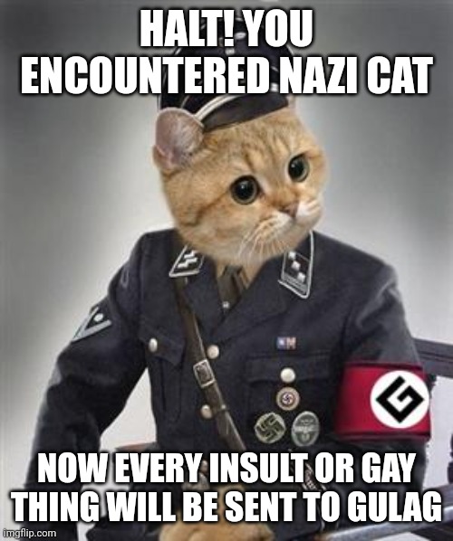 Grammar Nazi Cat | HALT! YOU ENCOUNTERED NAZI CAT NOW EVERY INSULT OR GAY THING WILL BE SENT TO GULAG | image tagged in grammar nazi cat | made w/ Imgflip meme maker
