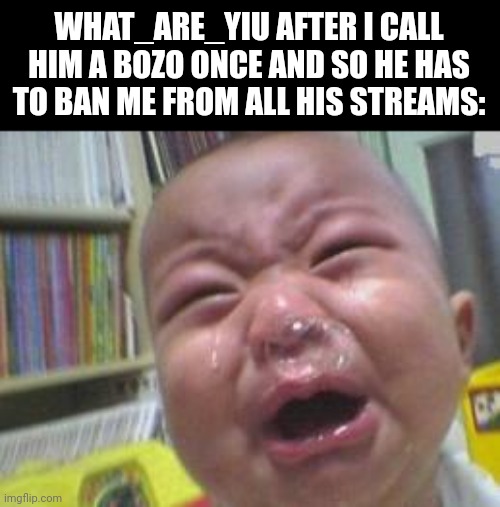 Fr | WHAT_ARE_YIU AFTER I CALL HIM A BOZO ONCE AND SO HE HAS TO BAN ME FROM ALL HIS STREAMS: | image tagged in funny crying baby,memes,what,are,you | made w/ Imgflip meme maker
