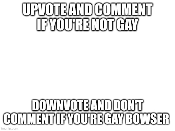 UPVOTE AND COMMENT IF YOU'RE NOT GAY; DOWNVOTE AND DON'T COMMENT IF YOU'RE GAY BOWSER | image tagged in memes,gay | made w/ Imgflip meme maker