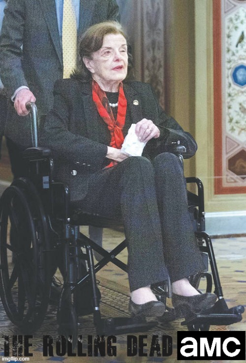 D. ead Feinstein | image tagged in the walking dead,dianne feinstein,wheelchair,dementia,incompetence,old age | made w/ Imgflip meme maker